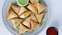 Chicken Malai Boti Samosa